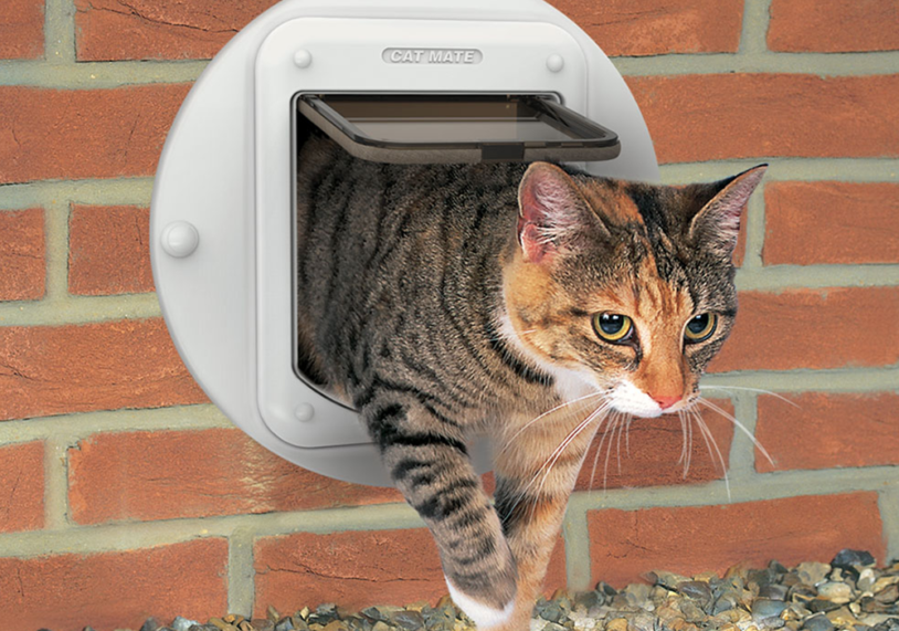 Cat Flap